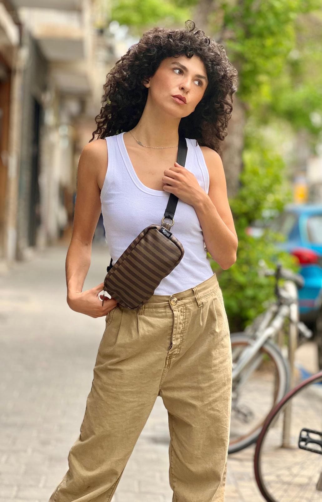 Sripes Lawrence Fanny Pack