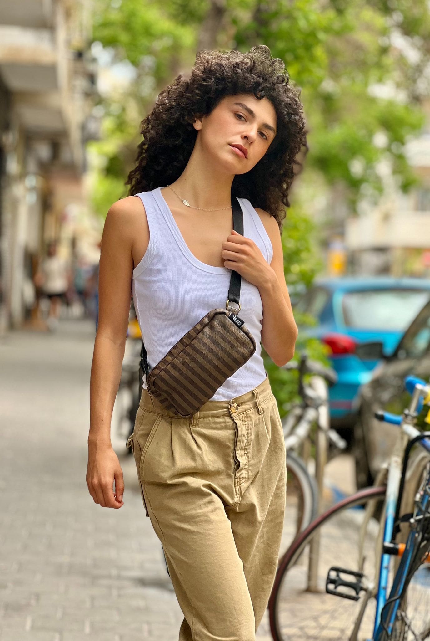 Sripes Lawrence Fanny Pack