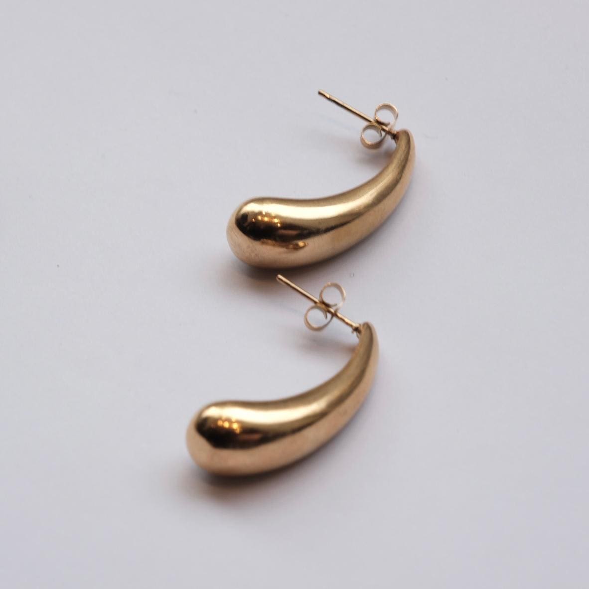 Horn earrings