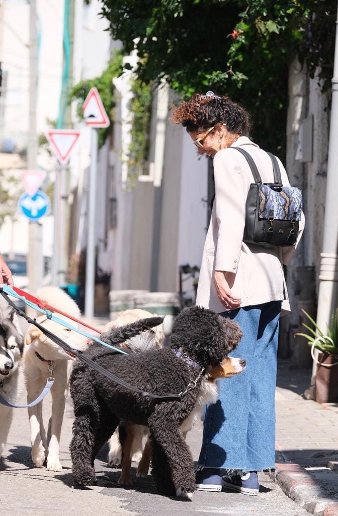 תיק גב/צד Jaffa שחור עם מנוחש היסטרי!
