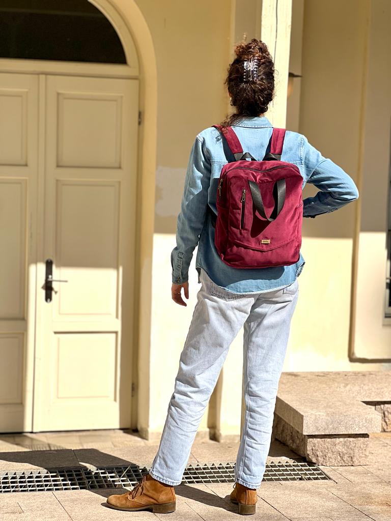 Nacho burgundy velvet mini bag -